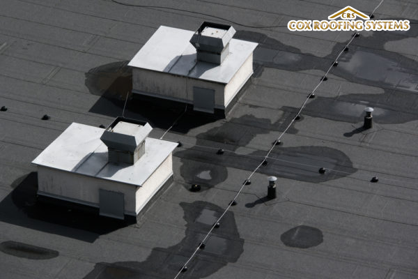 Flat Roofing